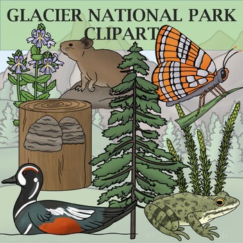 Preview of Glacier National Park Clip Art - Plants and Animals of the National Parks