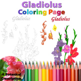 Gladiolus: Coloring Page and Botanical Description Card