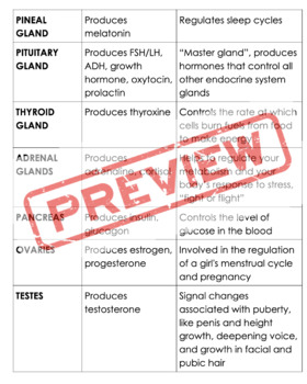 Preview of Glands & Hormones Card Sort 