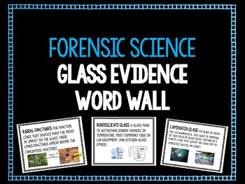 Preview of Forensics Glass Evidence Word Wall