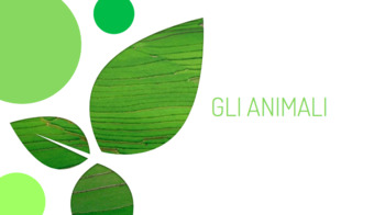 Preview of Gli Animali Slideshow and Animal Station Activity