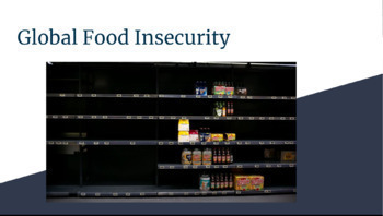 Preview of Global Food Insecurity Lesson and Poster Project