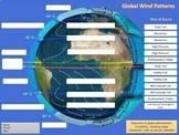 Global Wind Patterns Labeling Worksheet & Vocabulary Match