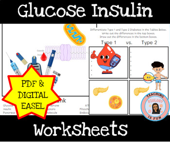 Preview of Glucose Insulin Connection Diabetes Principles of Biomedical Science HOSA