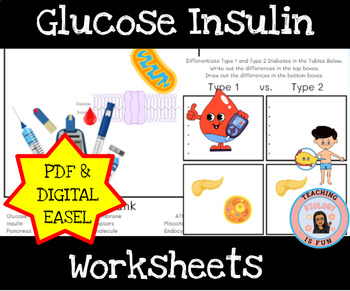 Preview of Glucose Insulin Principles of Biomedical Science | Print and Digital EASEL