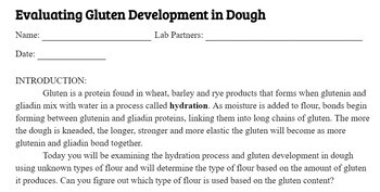 Preview of Gluten Development Lab