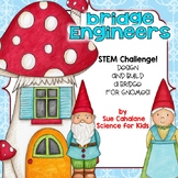 Bridge Engineers STEM Challenge {NGSS K-2-ETS1-1,2}