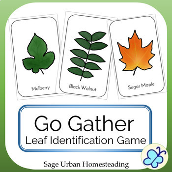 Preview of Go Gather Leaf Identification Game