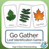 Go Gather Leaf Identification Game