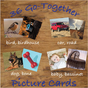 Montessori Go-Together Cards (Real Pictures) by Indian Montessori Mama