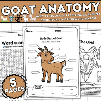 Goat Anatomy-Body Parts of Goat Labeling, Definition, Coloring, Word search