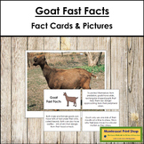 Goat Fast Facts - Montessori Zoology Cards & Pictures