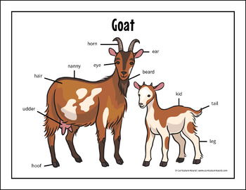 Goat Labeling Diagram - Parts of a Goat Worksheet + Nat Geo Book Questions