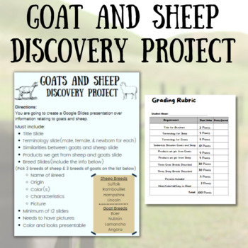 Preview of Goat and Sheep Discovery Project