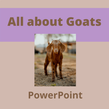 Preview of Goats | Animals | Information | Science | PowerPoint | 1st, 2nd, 3rd, 4th, 5th