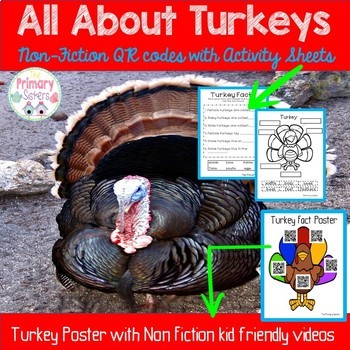 Turkeys Listening Center by The Primary Sisters | TPT