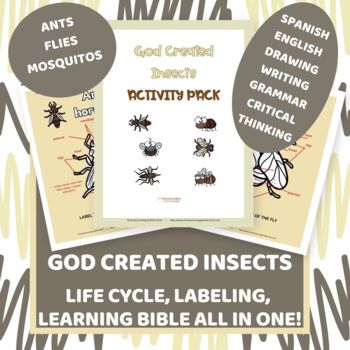 Preview of God Created Bugs and Insects - Science and Bible Lessons