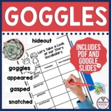 Goggles by Ezra Jack Keats Activities in Digital and PDF