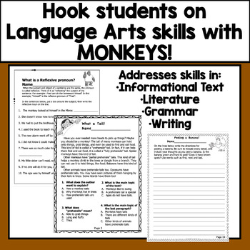 second grade reading common core worksheets plus tpt digital overlay