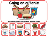 Going On A Picnic In Spring Adapted Interactive Book {Autism, Early Childhood}