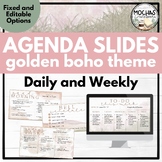 Golden Boho Classroom Slides - Daily/Weekly Agenda, Activi