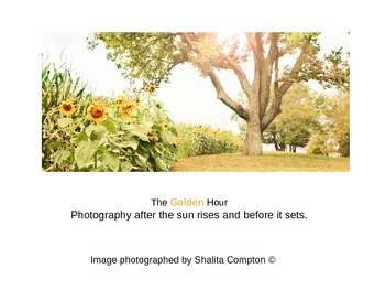 Preview of Golden Light Photography