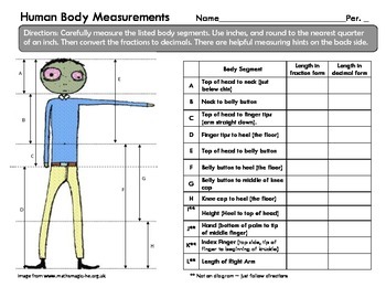 Golden Ratio: A Human Body Proportions Project (Ratios and Proportions) PHI