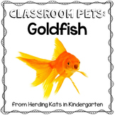 Goldfish Classroom Pet