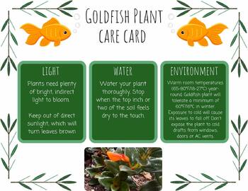 Preview of Goldfish Plant Care Card