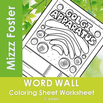 Preview of Golgi Apparatus Word Wall Coloring Sheet