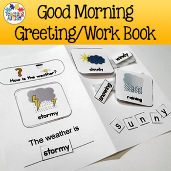 Preview of Autism Daily Work Book Morning