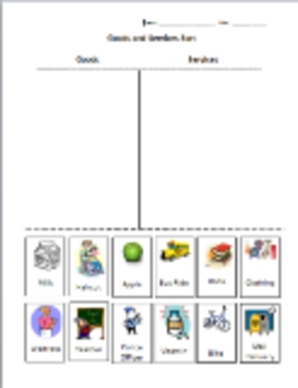 Preview of Goods and Services Sort for Economics Unit