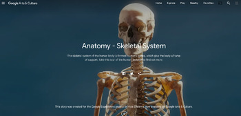 Preview of Google Arts & Culture “Anatomy – Skeletal System”