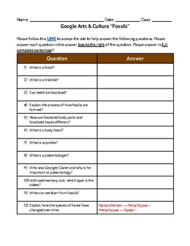 Preview of Google Arts & Culture “Fossils” Worksheet PDF
