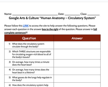 Preview of Google Arts & Culture “Human Anatomy – Circulatory System” Worksheet