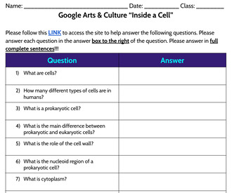 Preview of Google Arts & Culture “Inside a Cell” Worksheet