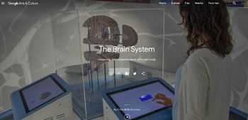 Preview of Google Arts & Culture “The Brain System”