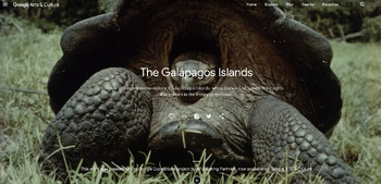 Preview of Google Arts & Culture “The Galápagos Islands” Worksheet
