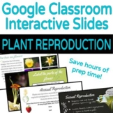 Google Classroom Interactive Slides: Plant Reproduction