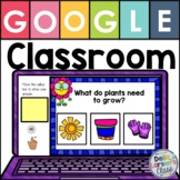 Google Classroom Plant Life Cycle