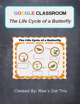 Preview of Google Classroom/Slides Life Cycle of a Butterfly