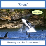 Google Doc Lesson and Song Download - "Orcas"