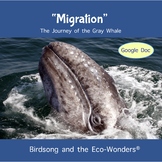 Google Doc Lesson and Song Download - "Migration" (Gray Whales)