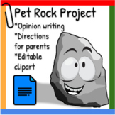 Google Doc ™︱Type Direct Pet Rock Project: Opinion Writing