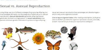 Preview of Google Docs Cell Reproduction Sexual and Asexual Reproduction Webquest 