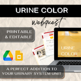 Google Drive | Anatomy URINE COLOR WEBQUEST | EDITABLE