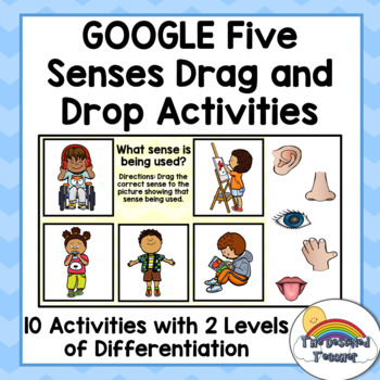 Preview of Google Five Senses Drag and Drop Activities | Digital 5 Senses Activities