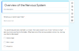 Google Form Quiz- Overview of The Nervous System
