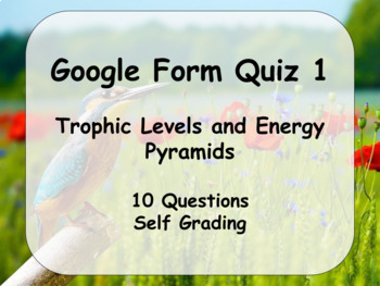 Preview of Google Form Quiz: Trophic Levels and Energy Pyramids (10 Questions) 1