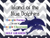 Google Classroom Island of the Blue Dolphins Comprehension